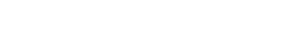 RoboStrategy